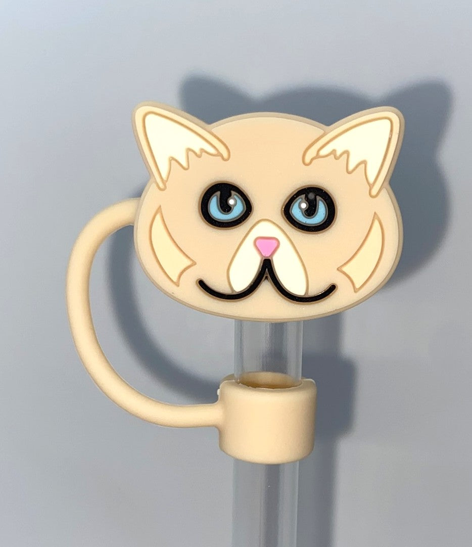 Cat Persian Straw Topper