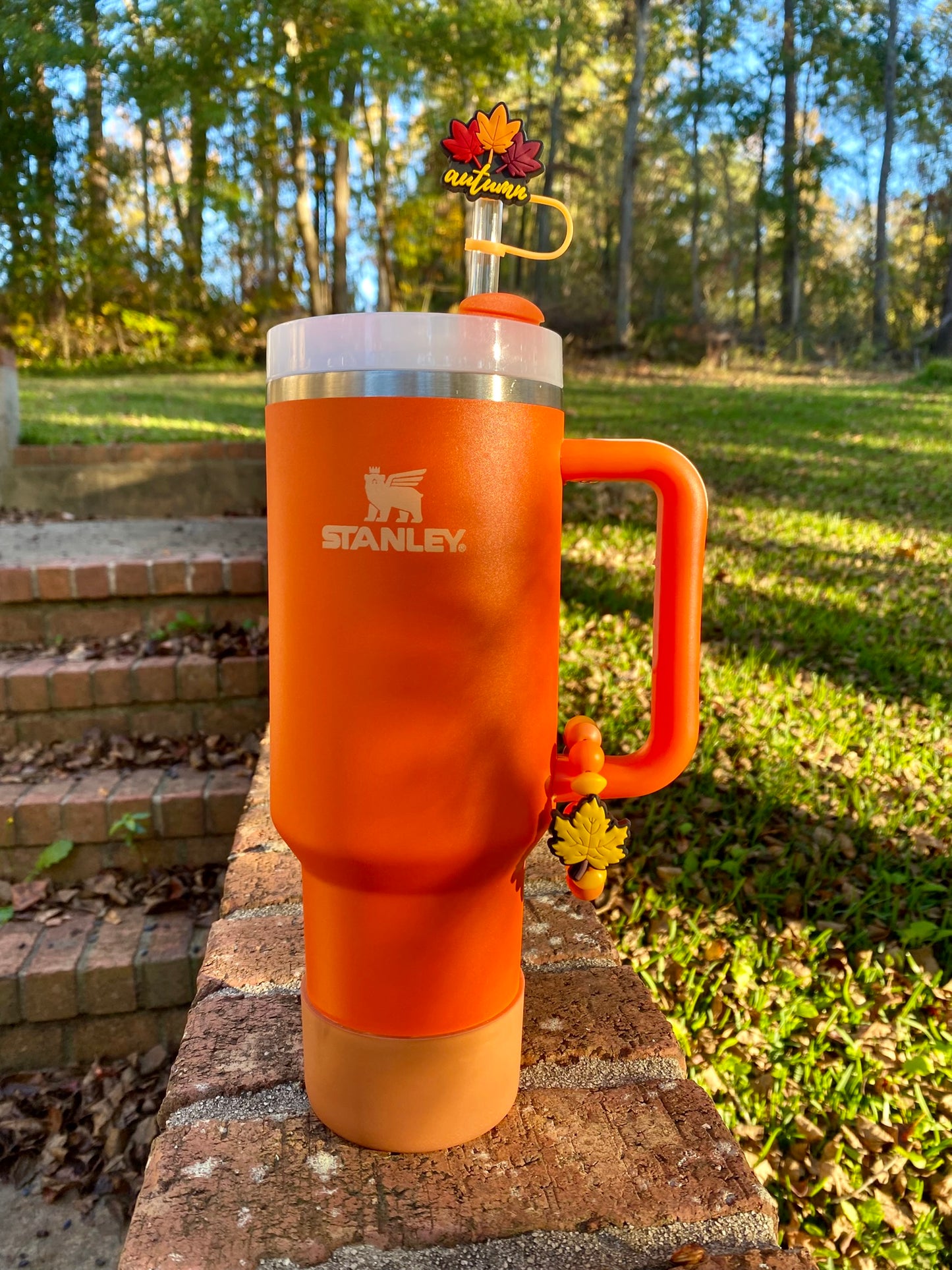 Autumn Leaves Fall Straw Topper