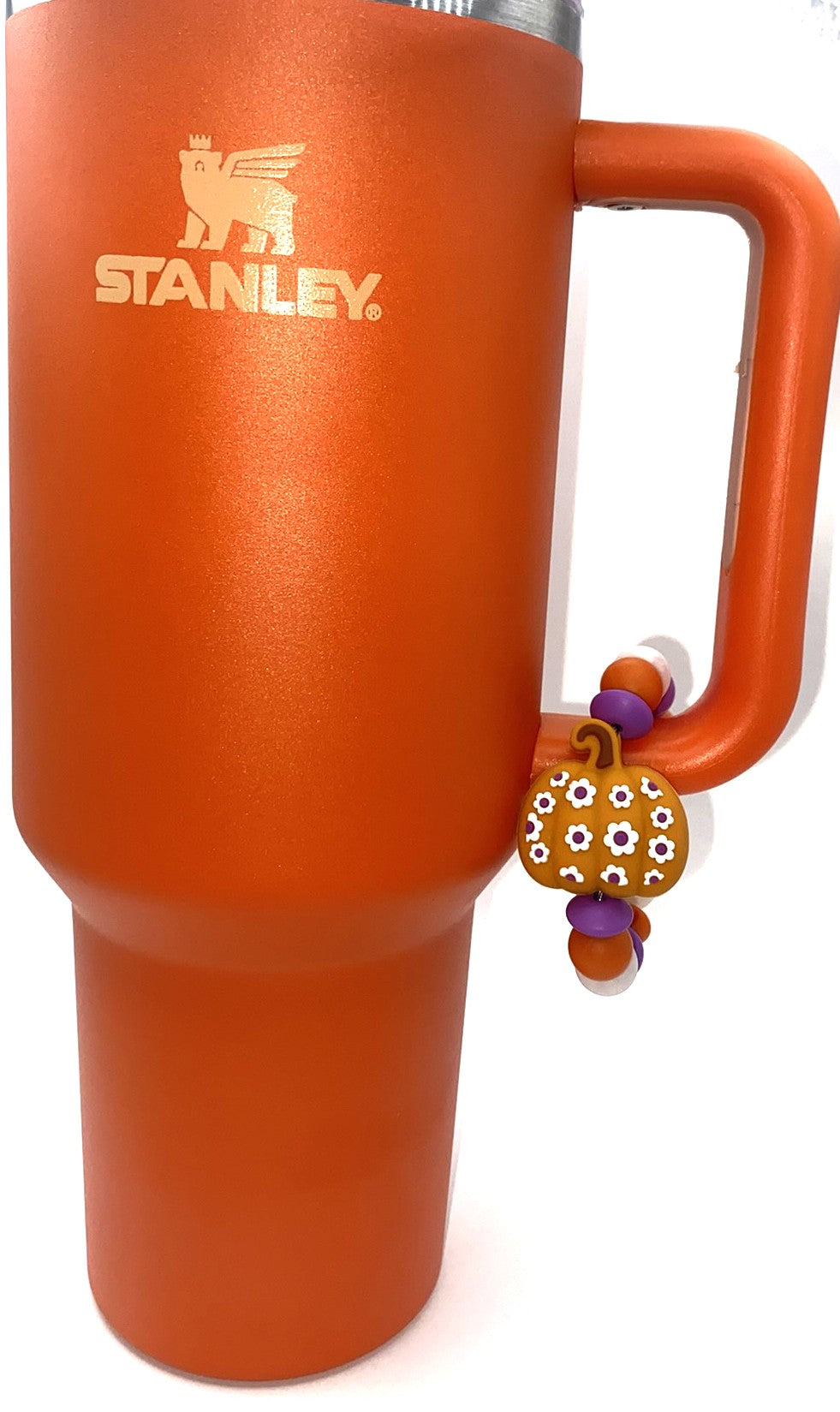Floral Pumpkin 3D Fall Stanley Tumbler Cup Handle Charm