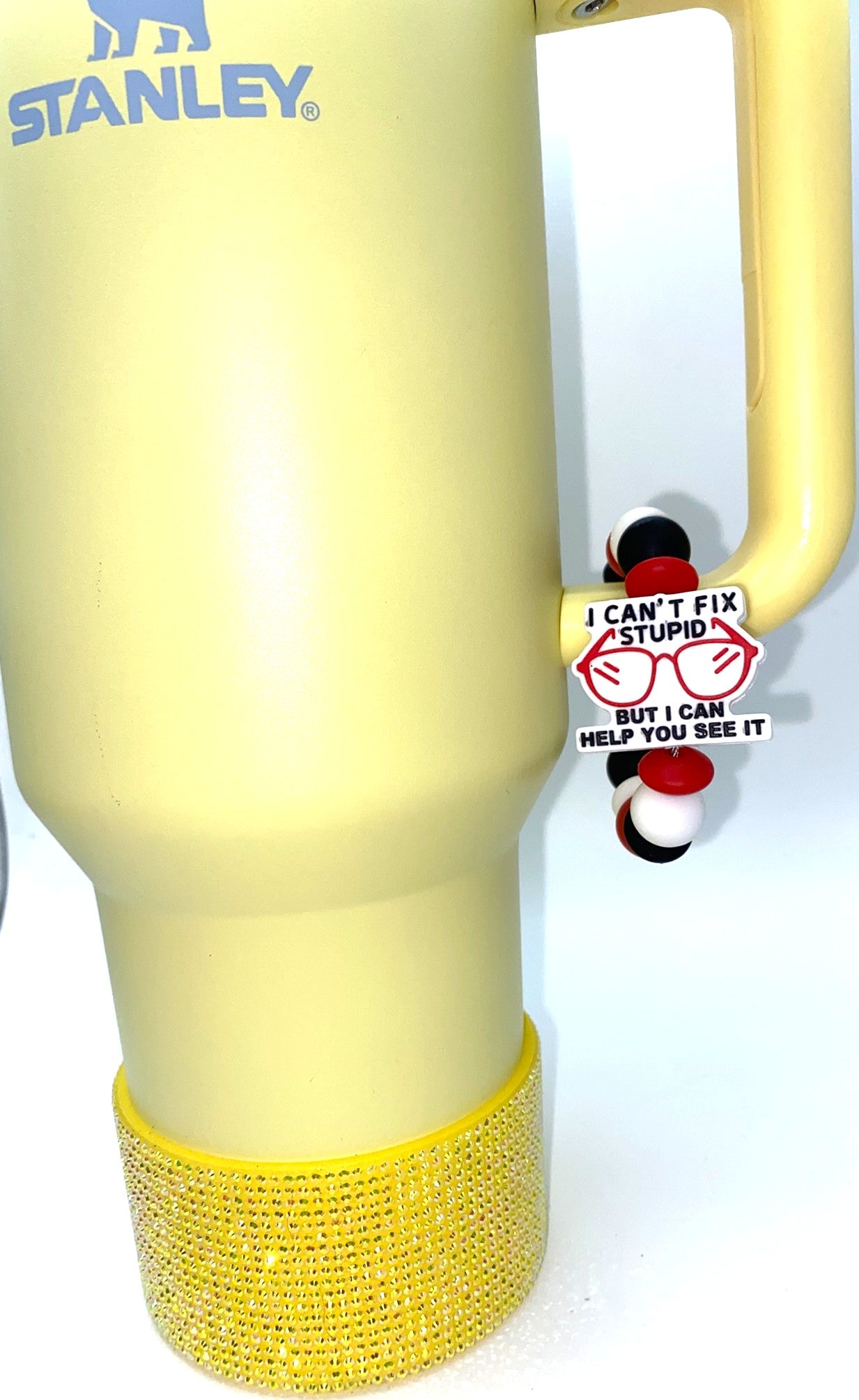 I Can't Fix Stupid But I Can Help You See It Optometrist Funny Stanley Tumbler Cup Handle Charm