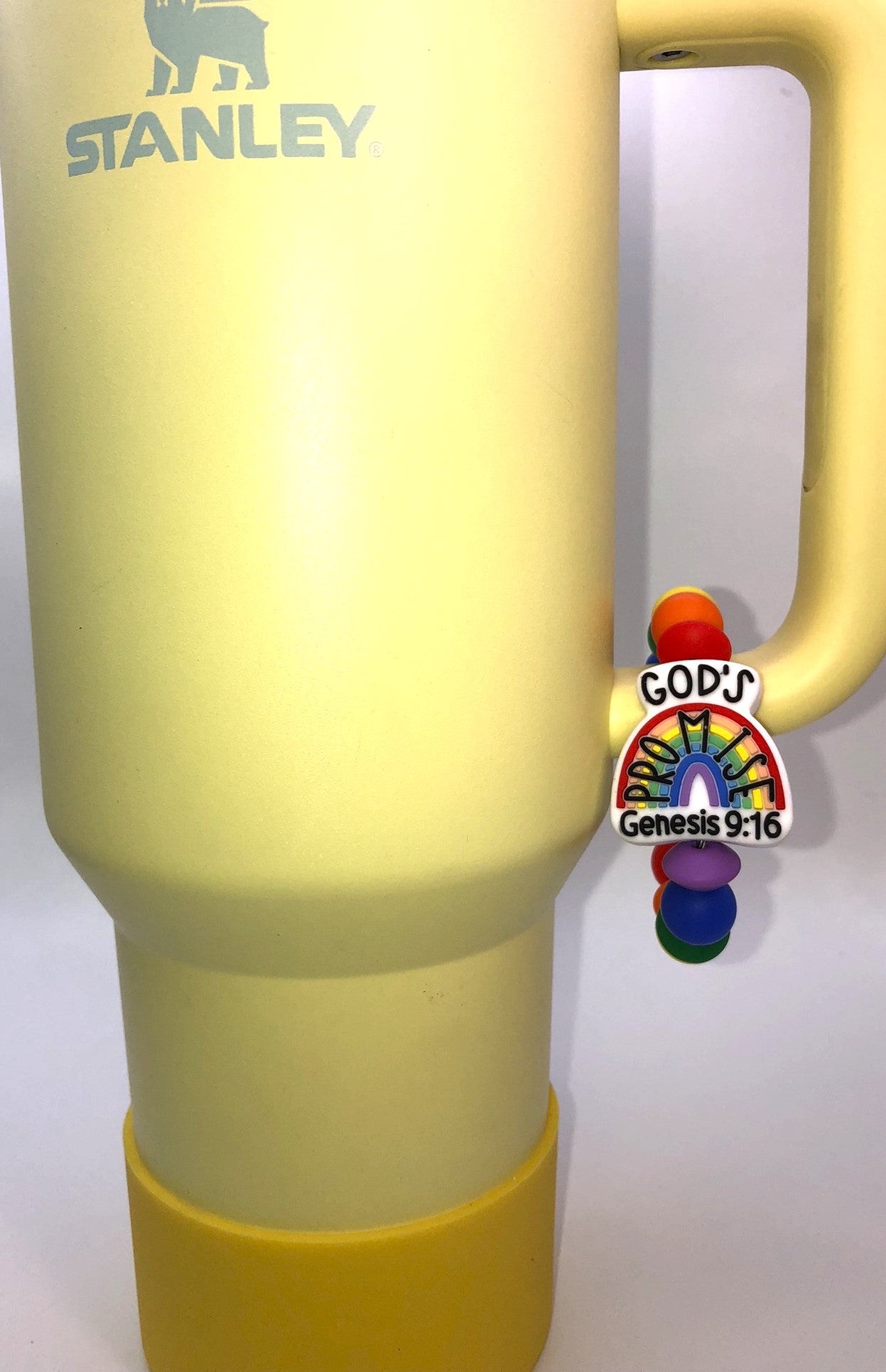 God's Promise Rainbow Genesis 9:16 Stanley Tumbler Cup Handle Charm