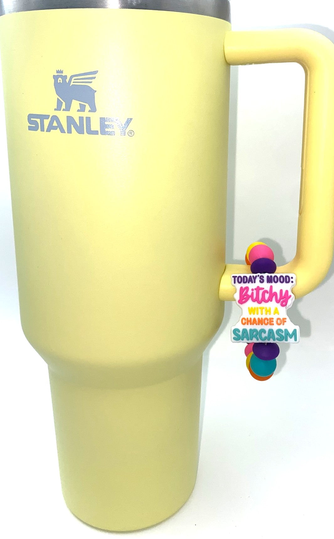 Today's Mood Bitchy With A Chance Of Sarcasm Stanley Tumbler Cup Handle Charm