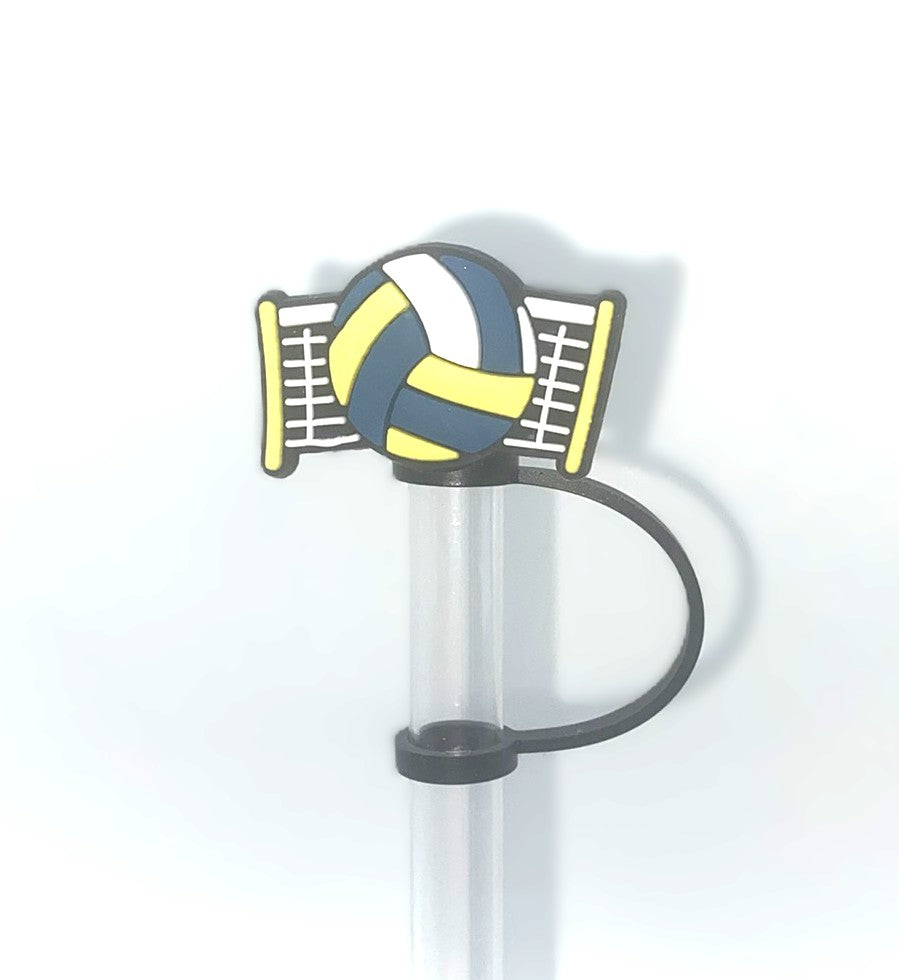 Volleyball & Net Straw Topper