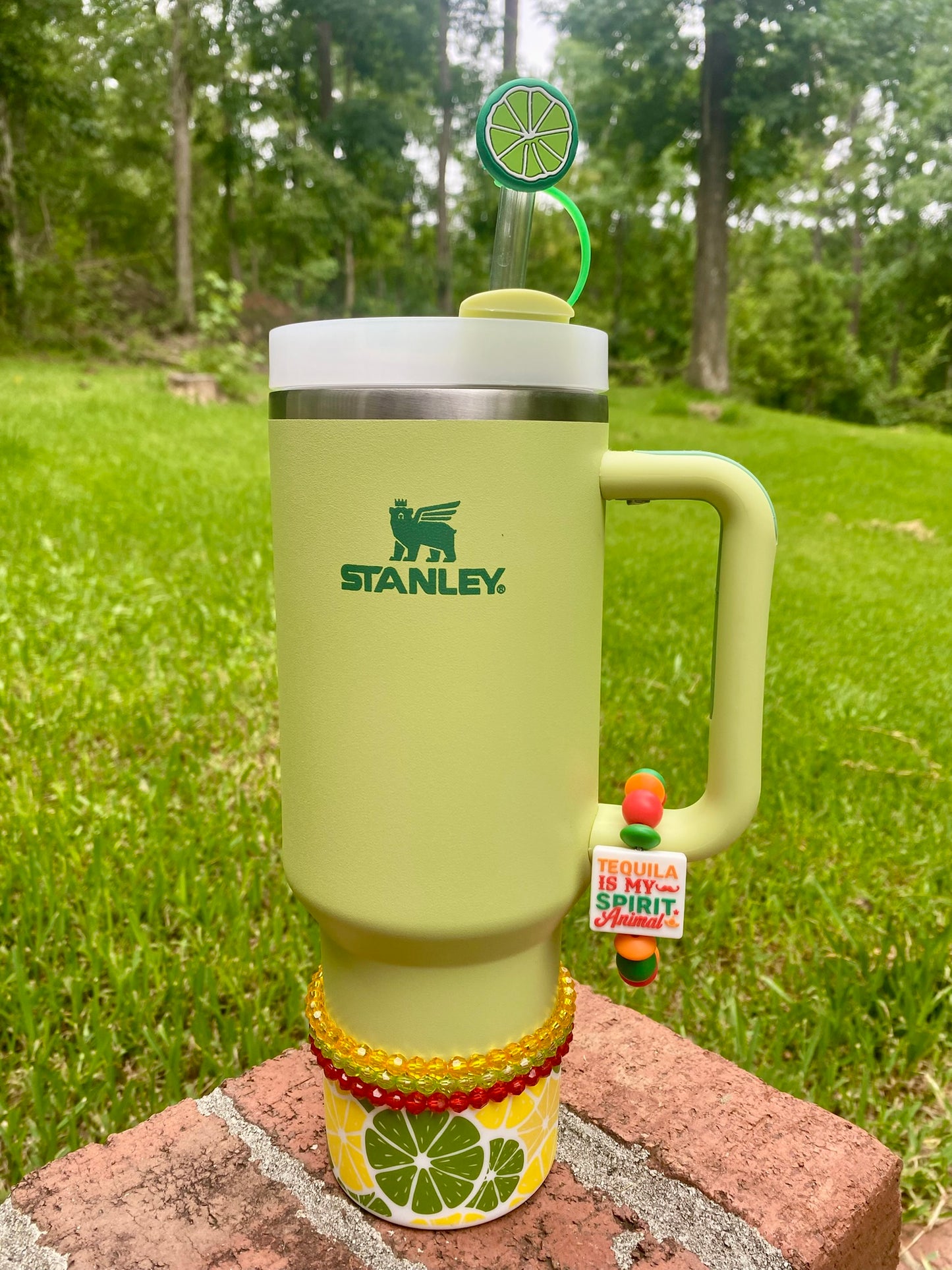 Lemons & Limes Stanley Tumbler Boot Sleeve #130