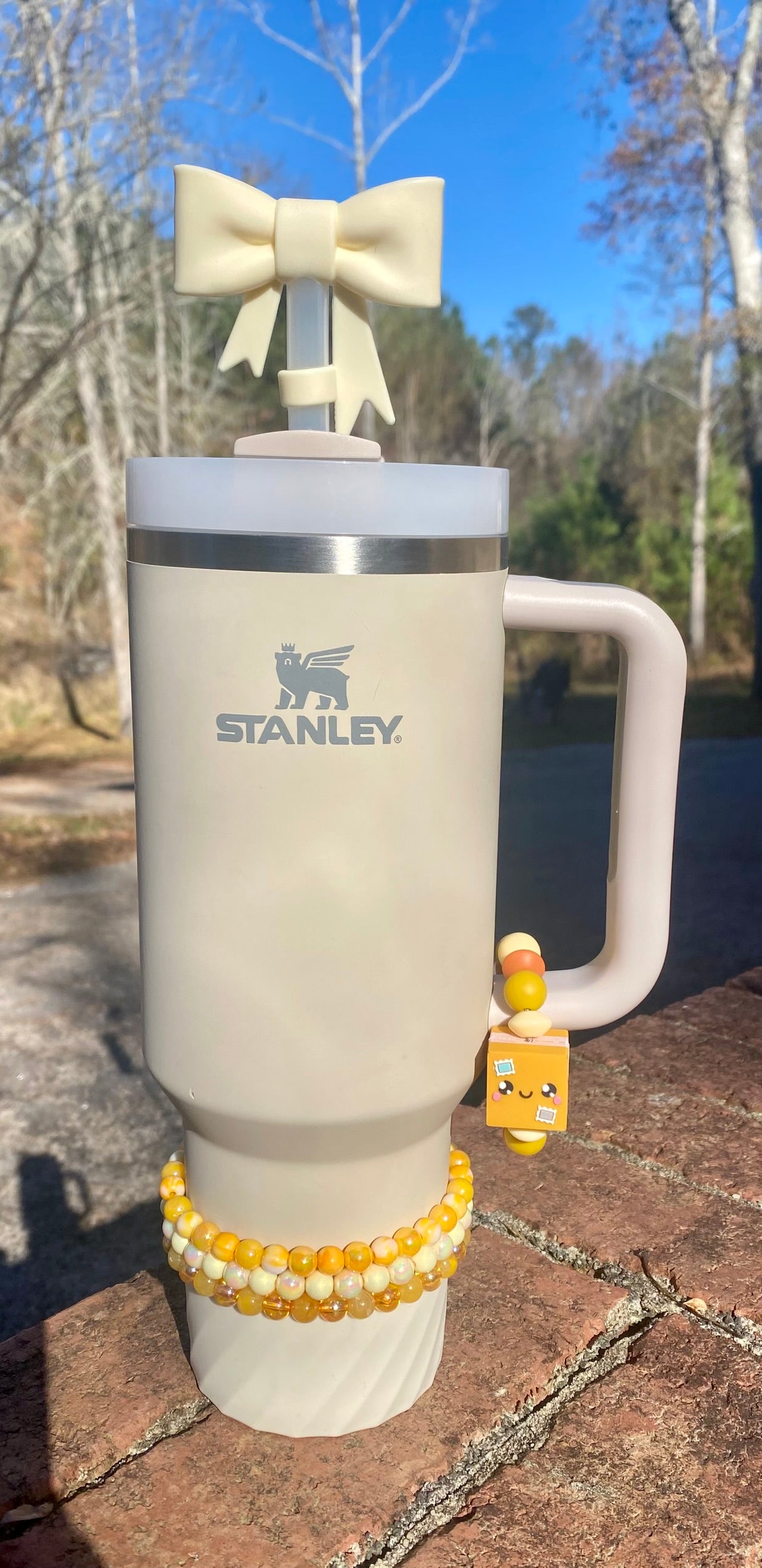 Amazon Package 3D Stanley Tumbler Cup Handle Charm