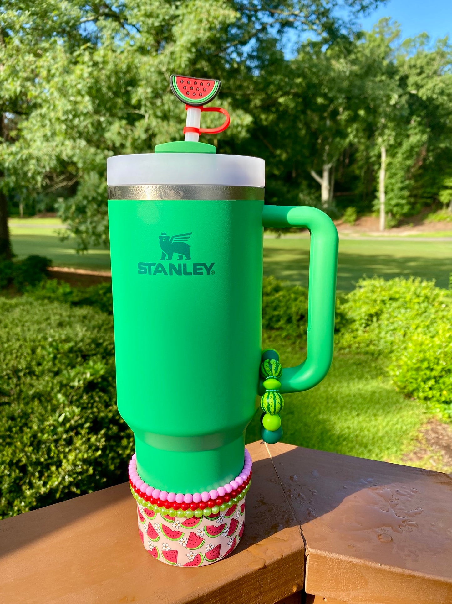 Watermelon Slice Summer Straw Topper