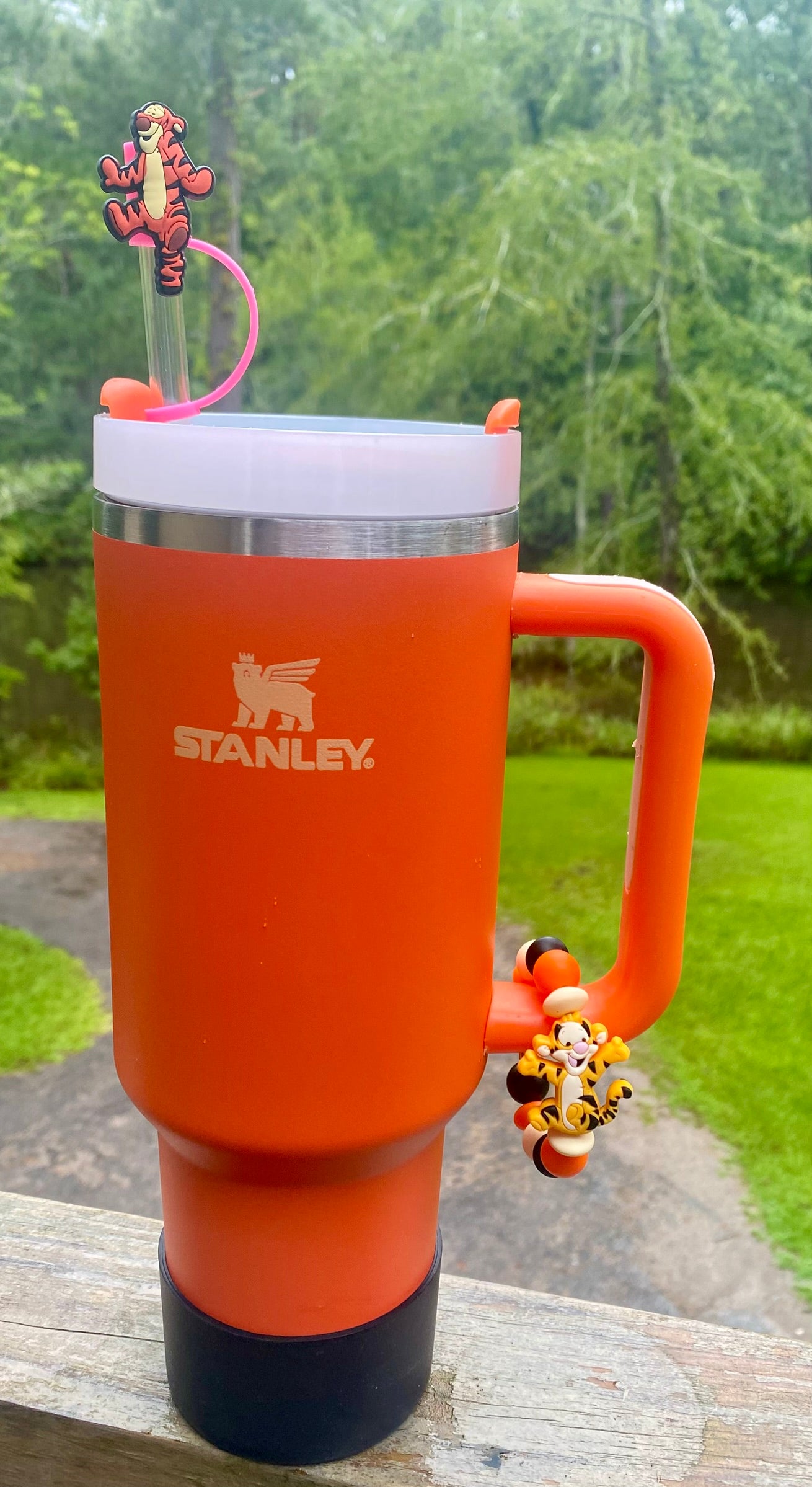 Bouncing Tiger Friend Thoughtful Yellow Honey Bear Straw Topper