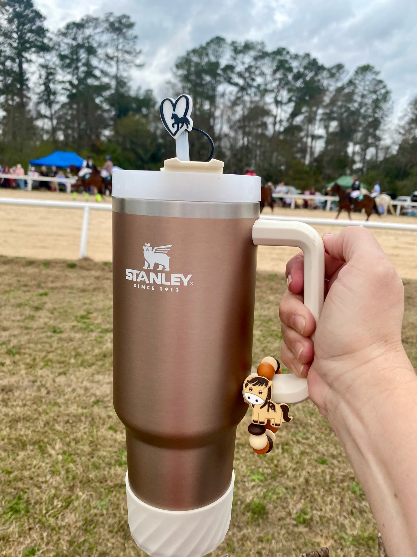 Horse In Heart Straw Topper