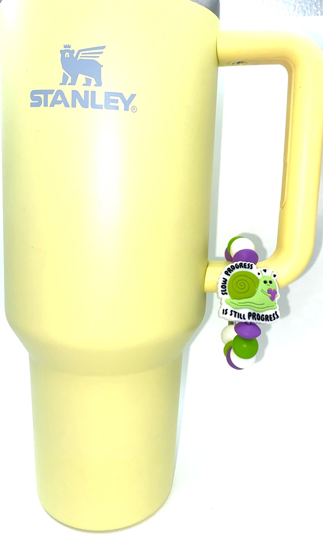 Slow Progress Is Still Progress Snail Stanley Tumbler Cup Handle Charm