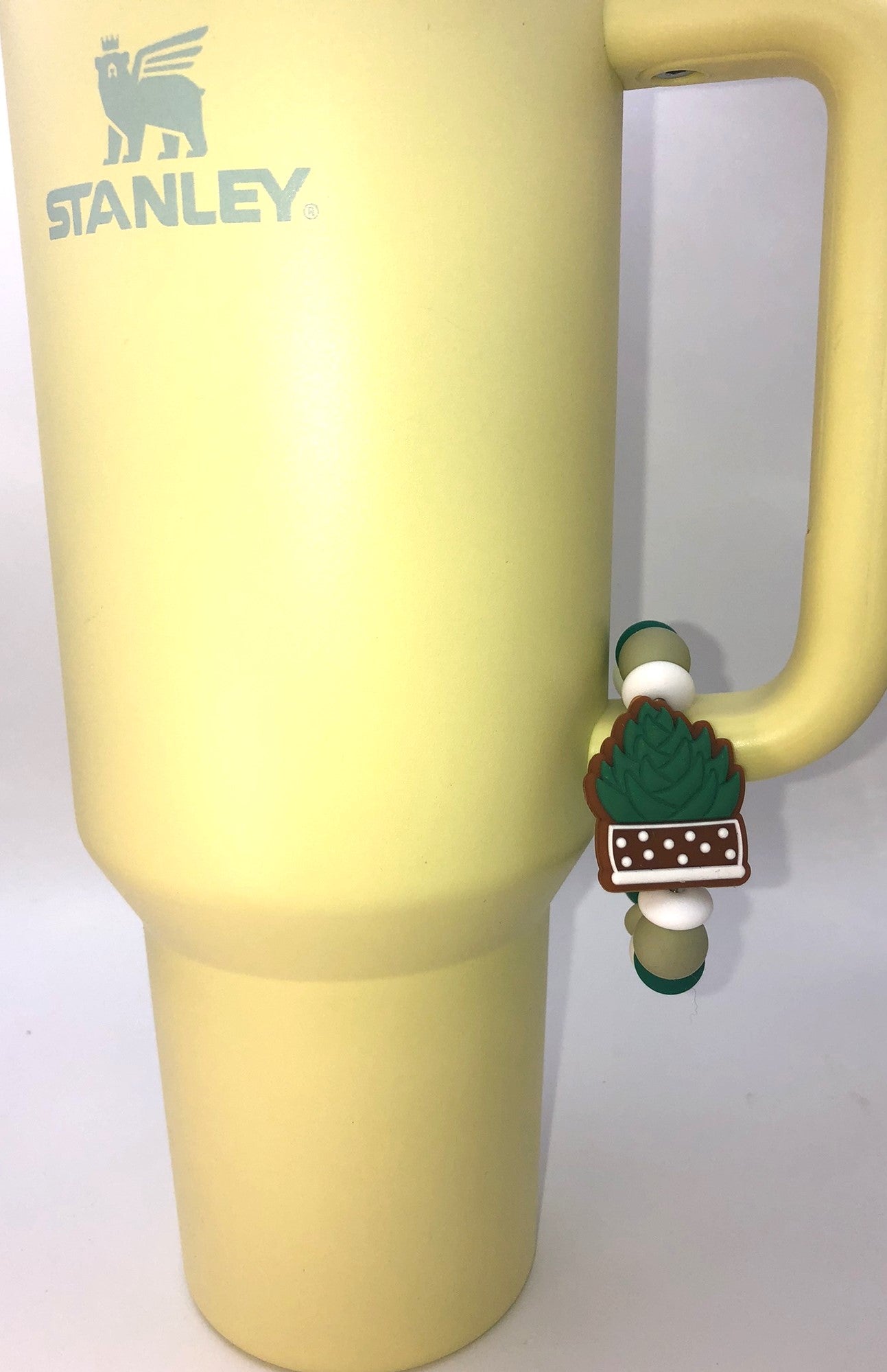 Succulent In Pot Plant Stanley Tumbler Cup Handle Charm