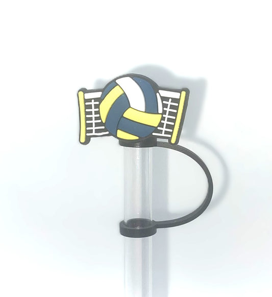 Volleyball & Net Straw Topper